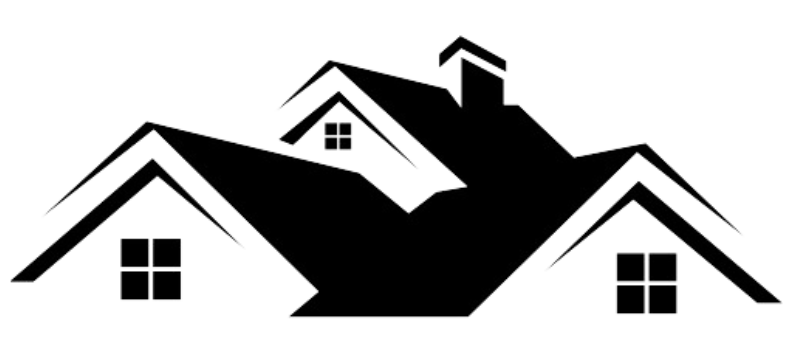 DRYRUN NZ LTD